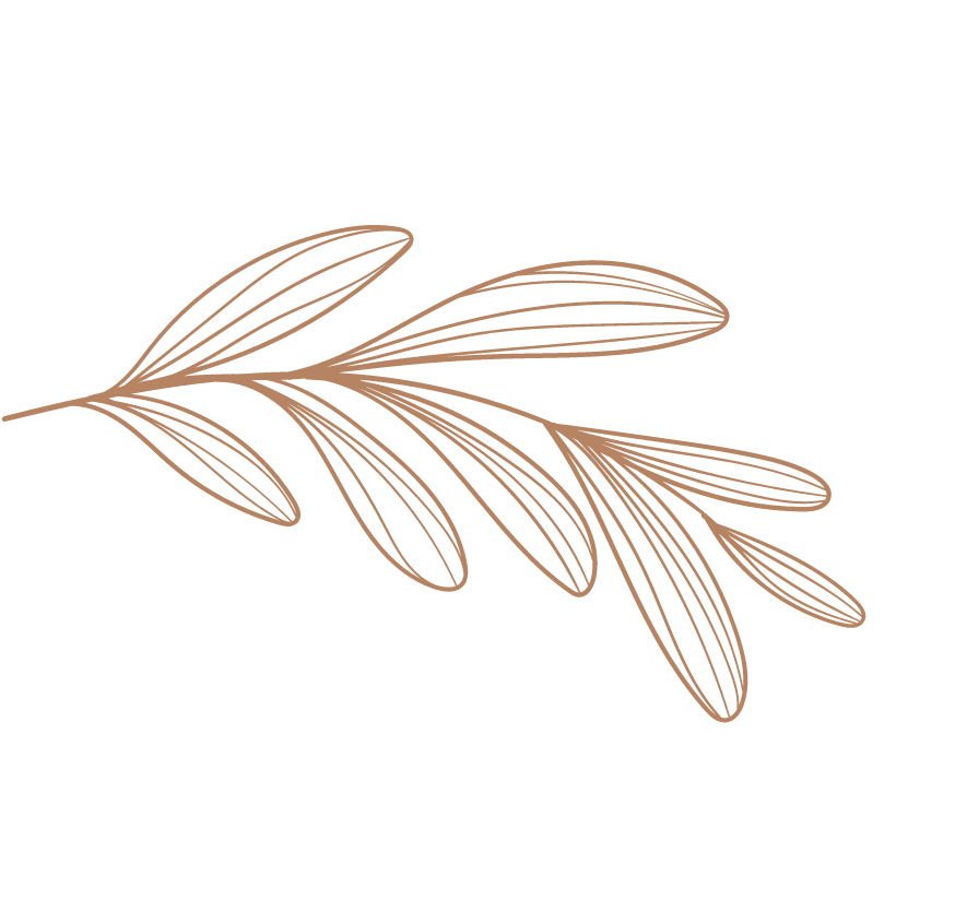 birth center conroe texas. image of leaf