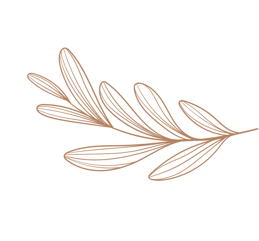 birth center conroe texas. image of leaf